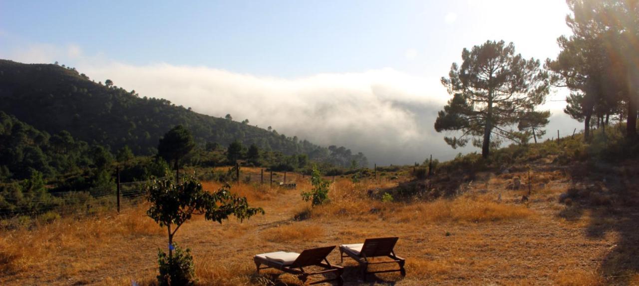 Esencia Lodge - Luxurious Off-Grid Cabin Retreat Almuñécar المظهر الخارجي الصورة