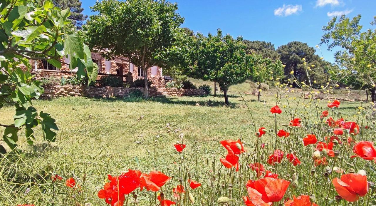 Esencia Lodge - Luxurious Off-Grid Cabin Retreat Almuñécar المظهر الخارجي الصورة